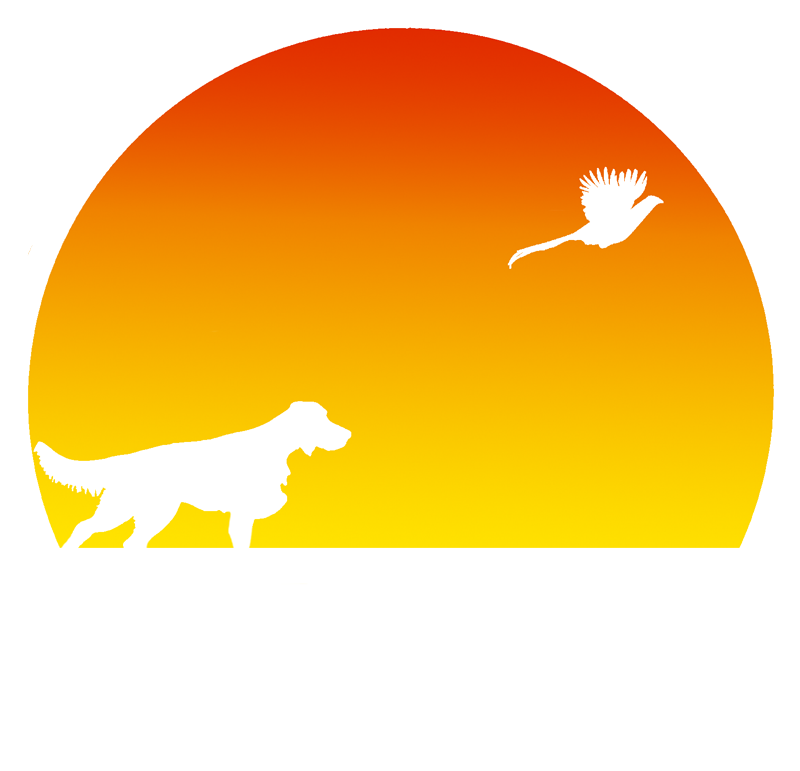 Markover Logo